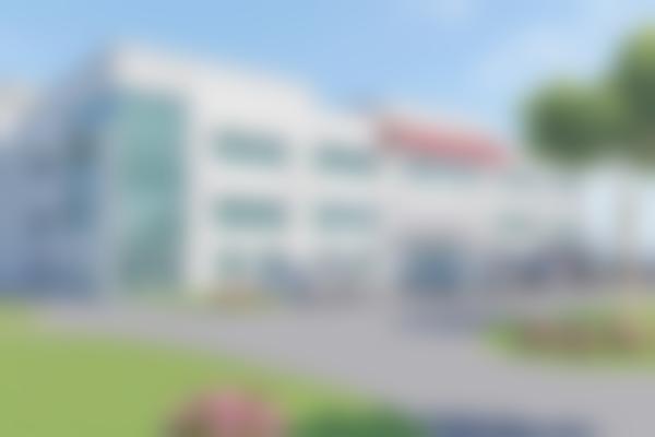 王正齐