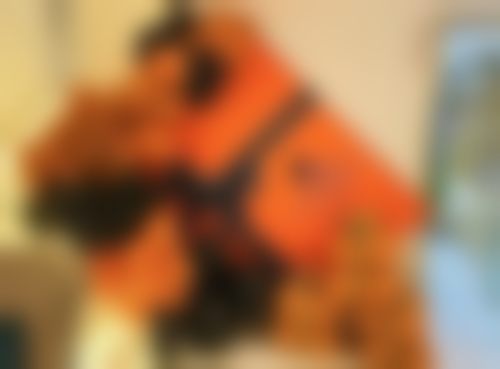 郑州郑东名颜医疗美容诊所核心项目