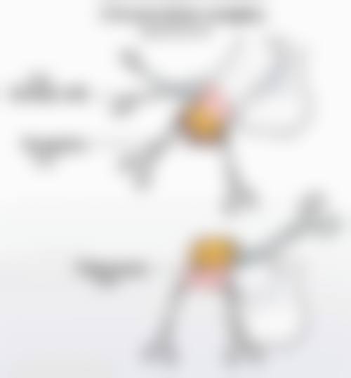 新疆五洲男科医院生殖整形科交通路线与预约