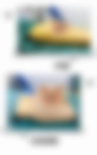 金东佑技术水平评价