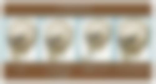 安阳市人民医院核心项目