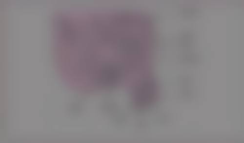 Lucia Clinic 冈山交通路线与预约