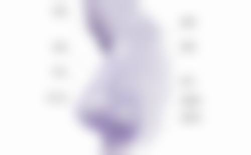 Lucia Clinic 冈山医生团队