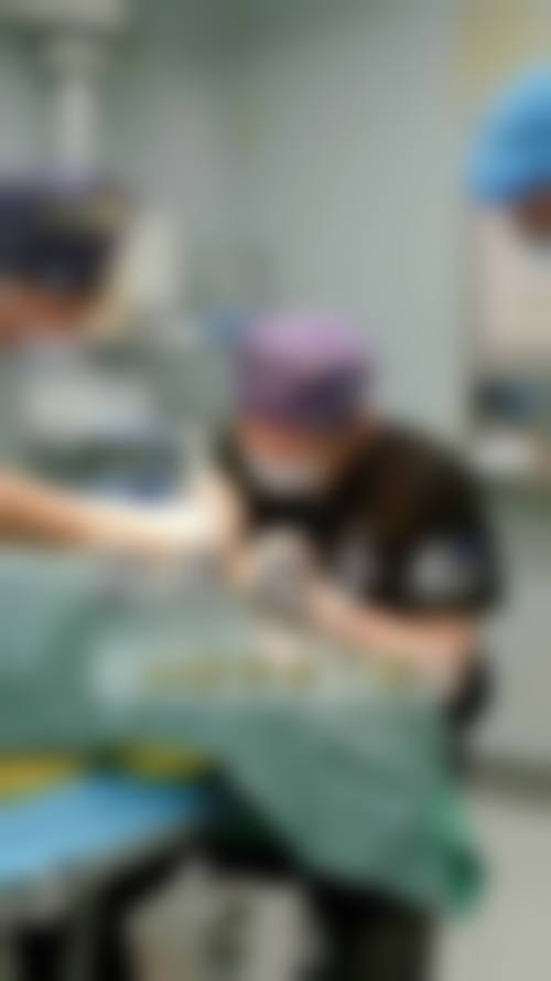 乔国茹擅长项目列表