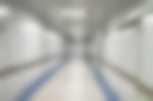 向仕棋擅长项目列表