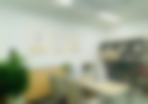 惠州麦穗医疗美容诊所（麦穗植发）核心项目