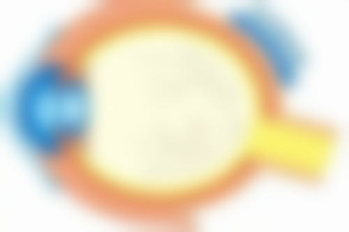 洛阳雨露医疗美容诊所核心项目