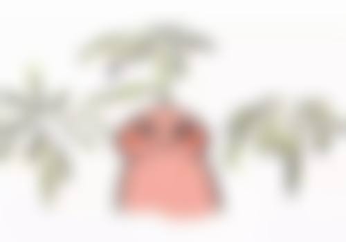 成都水晶唯罗纳医疗整形美容核心项目