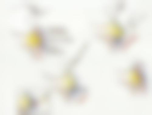 彭建平技术水平评价