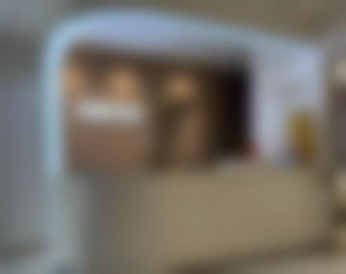 苗国强技术水平评价