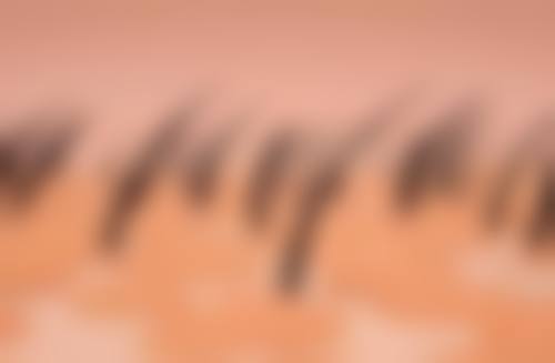 烟台刘芳美容诊所核心项目