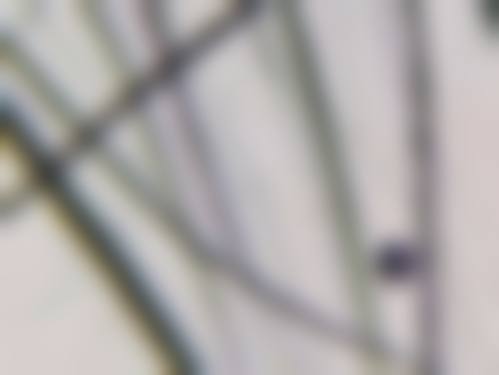 泰州丽都整形医院核心项目