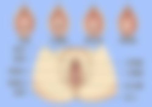 饶元珮预约方式