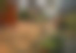 温州鹿城恒美医疗美容门诊部医生团队