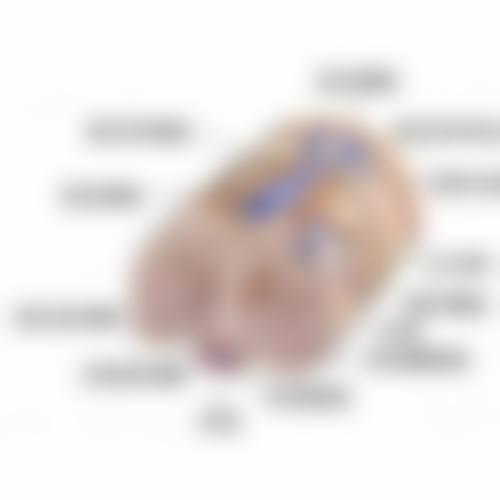 桂林诺澜登医疗美容诊所价格参考