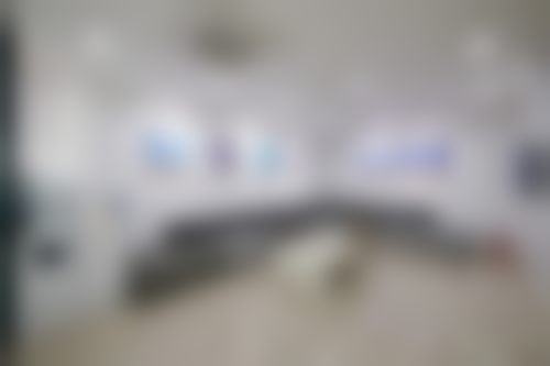 韩国首尔slim整形医院医生团队