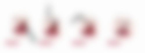 狎鸥亭W整形外科医生团队