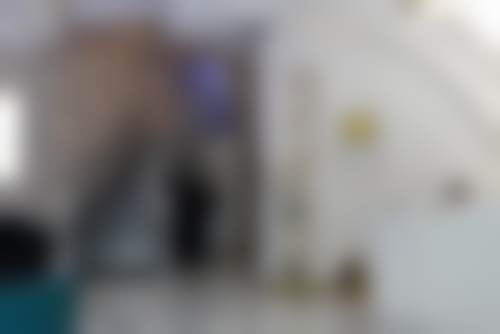 张进擅长项目列表