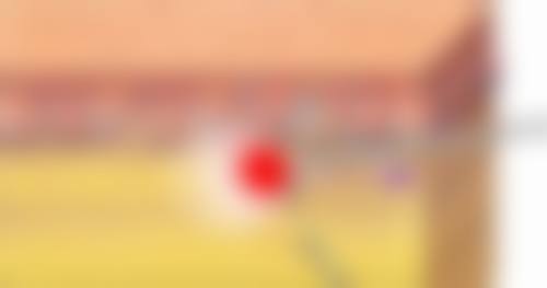 王耀华技术水平评价