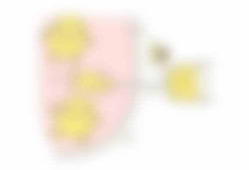 深圳医恒美医疗美容价格参考