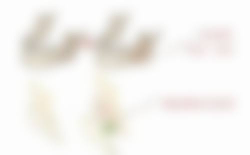 株洲丽人医疗美容医院价格参考