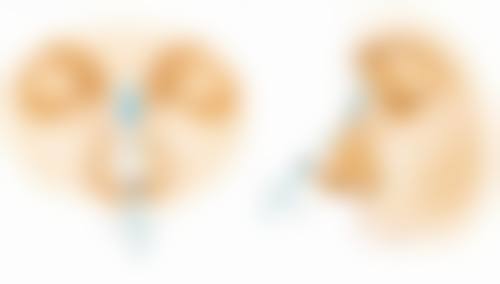 成都武侯圣形医疗美容诊所正规资质