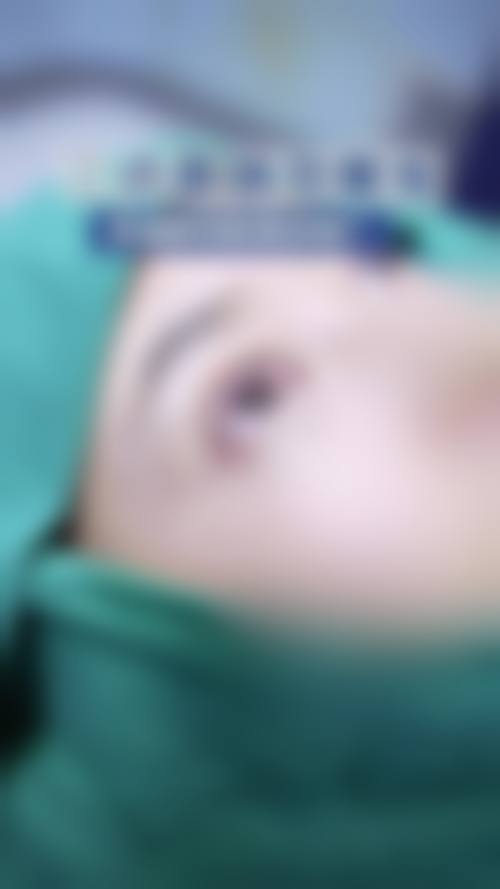 柳熙重技术水平评价