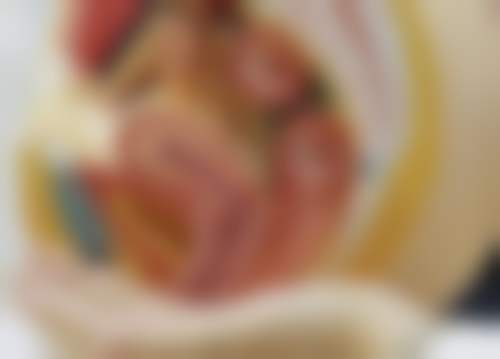 柳熙重患者评价