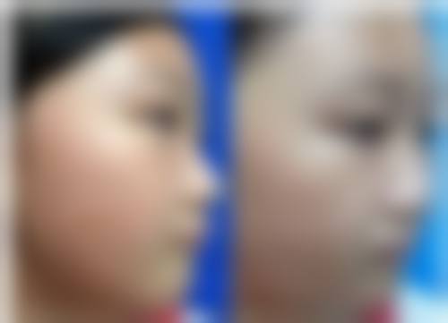 柳熙重擅长项目列表