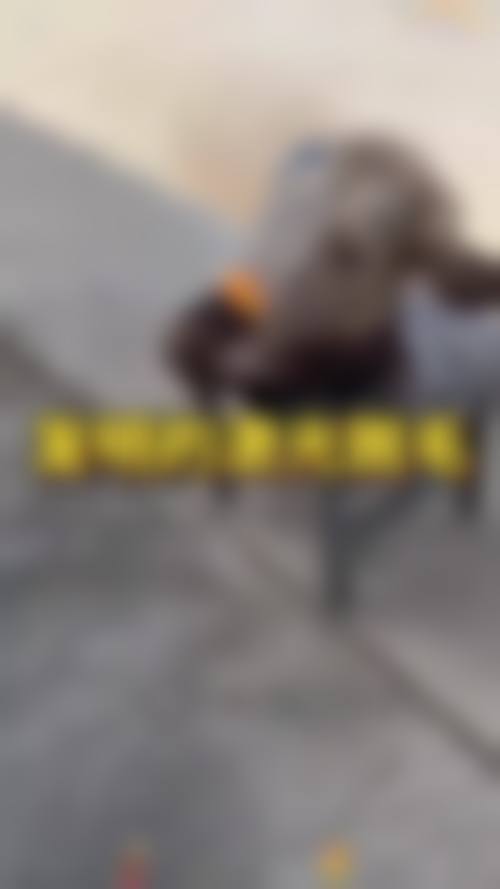 金秀敬技术水平评价