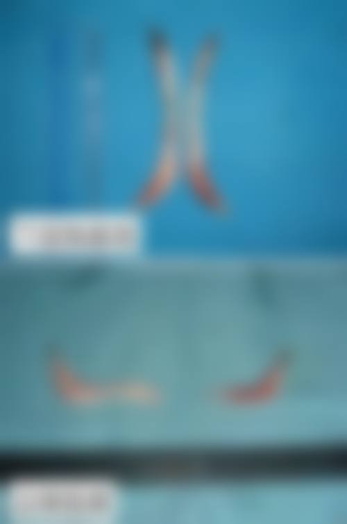 海南省妇女儿童医学中 心（海南省妇幼保健院）(皮肤美容科)正规资质