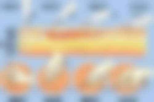 长沙欣姿美医疗美容门诊部正规资质