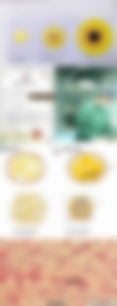 姜姿利擅长项目列表