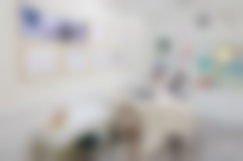 深圳兰乔医疗美容诊所医生团队