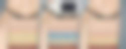 刘丹萍技术水平评价