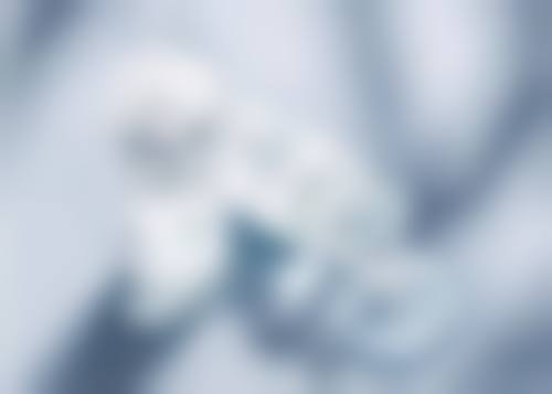 王亚梅擅长项目列表