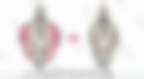 濮阳市第三人民医院烧伤整形中 心医生团队