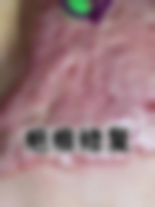 王世利擅长项目列表