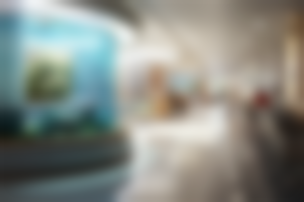 北京伊思凯丽整形医院