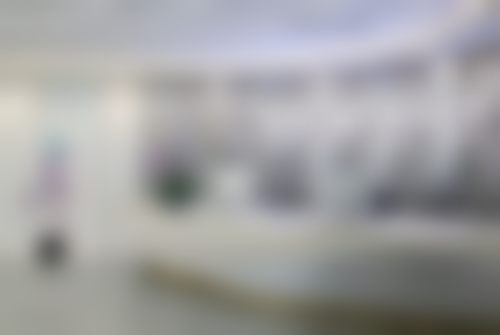 成都金牛莱瑞拉威塑医疗美容医院核心项目