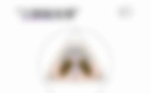 赵海光技术水平评价