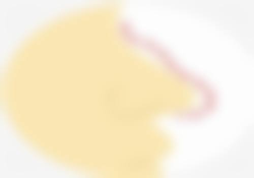 王世利技术水平评价