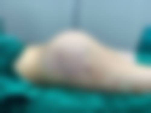 广州伊丽莎白医学美容门诊部医生团队