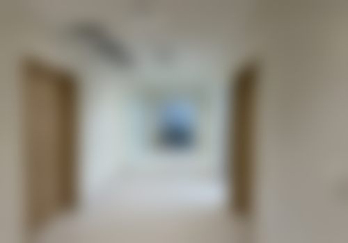 韩国MULY整形外科核心项目