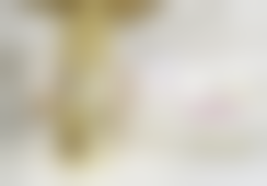 严卓鑫技术水平评价