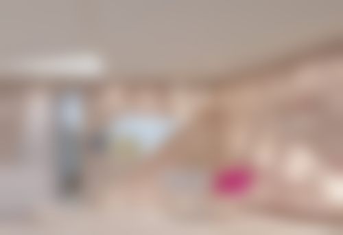 卢正义擅长项目列表