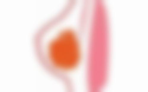 仁怀北木医疗美容门诊部医生团队