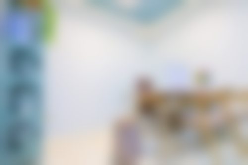 李洛娜技术水平评价