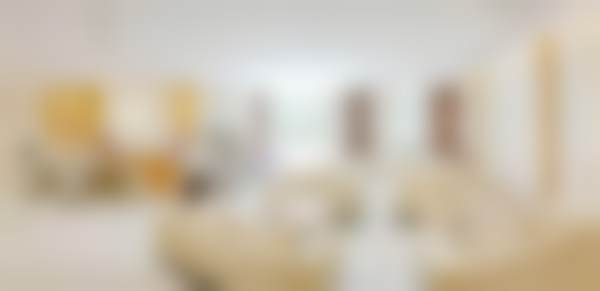 田跃平技术水平评价