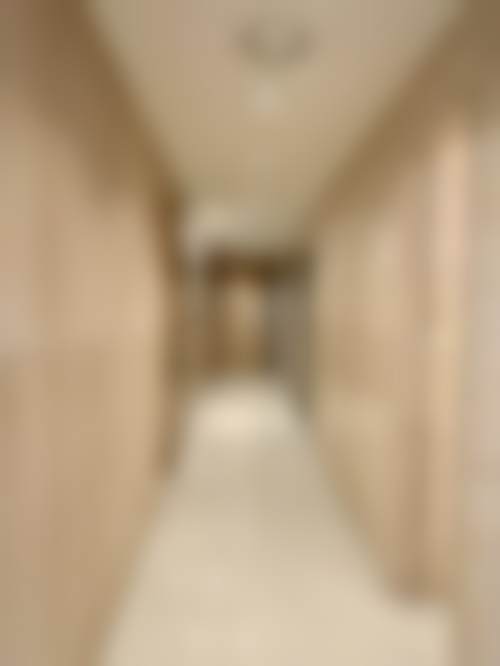 宋美技术水平评价